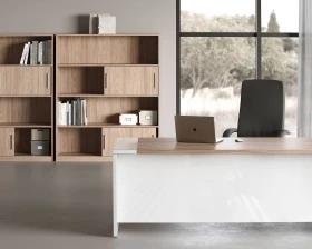 Кабинет руководителя Асти П / Asti P images