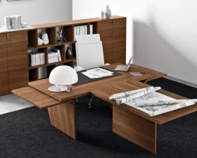 Кабинет руководителя Larus images