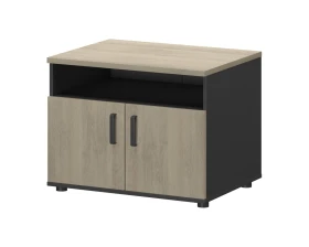 Тумба для оргтехники СМТ-2ДН Тип2 800x600x607 Смарт (pt) images